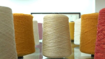 大朗毛織企業巡禮(十一)彬有紡織--致力于打造一流的綜合型毛織紗線企業