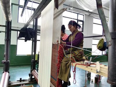 仁布縣特色產業“更新迭代”